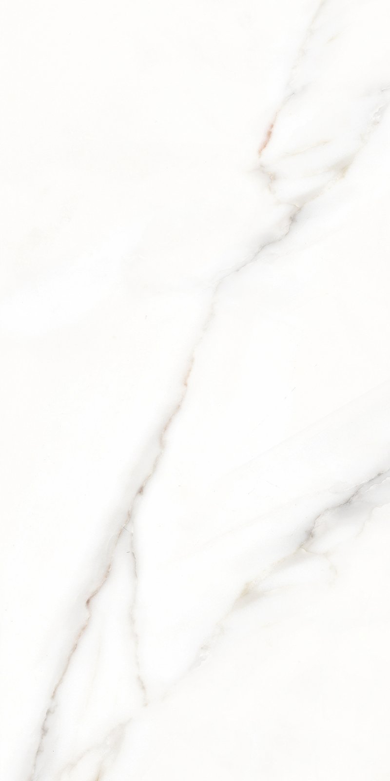 PLATINUM 30X60 TUSCANY GREY REC